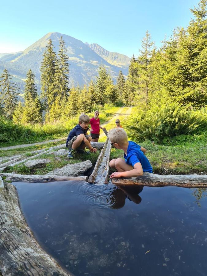 Brixnerhof Im Zillertal Hotel Schlitters Bagian luar foto