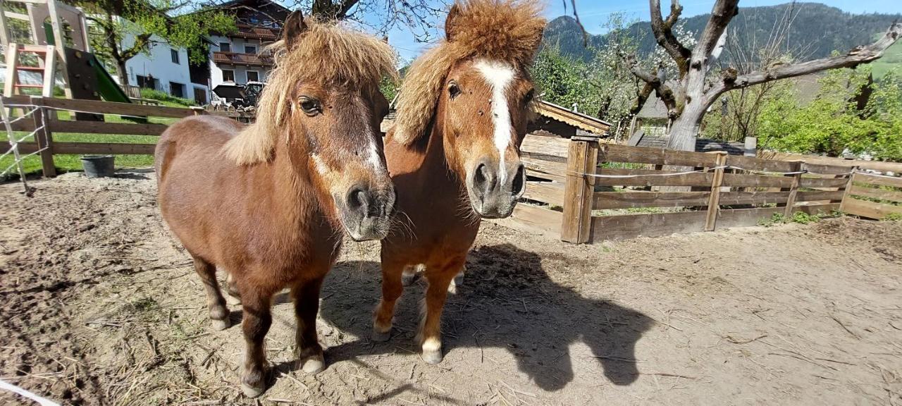 Brixnerhof Im Zillertal Hotel Schlitters Bagian luar foto