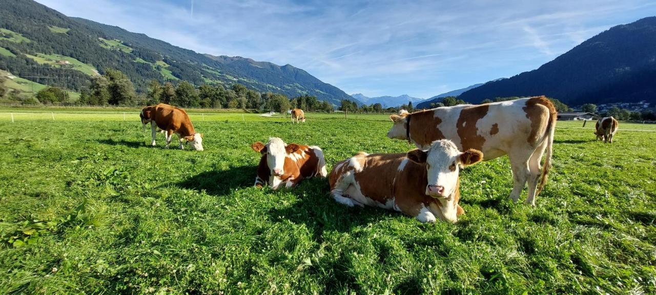 Brixnerhof Im Zillertal Hotel Schlitters Bagian luar foto