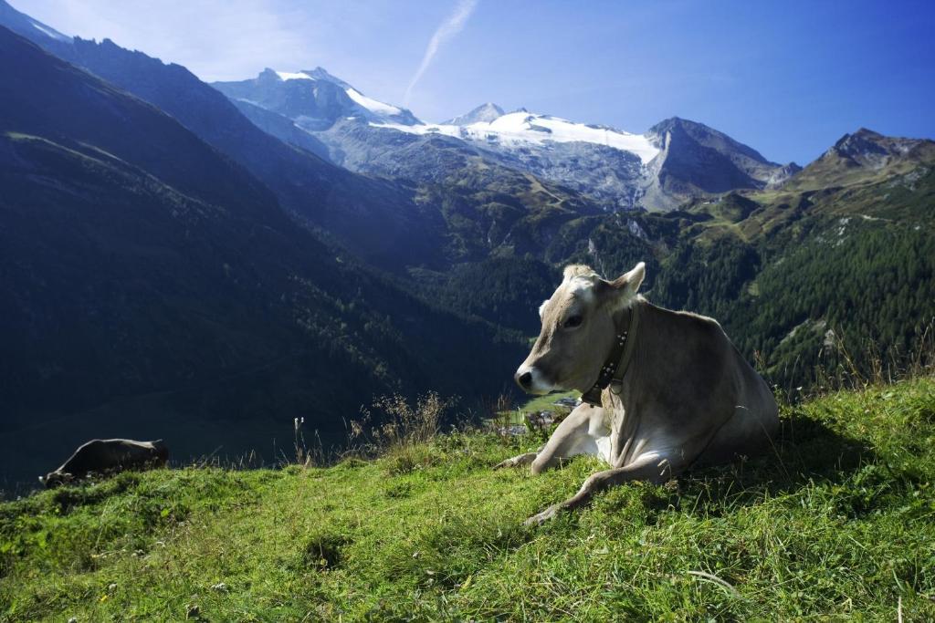 Brixnerhof Im Zillertal Hotel Schlitters Bagian luar foto